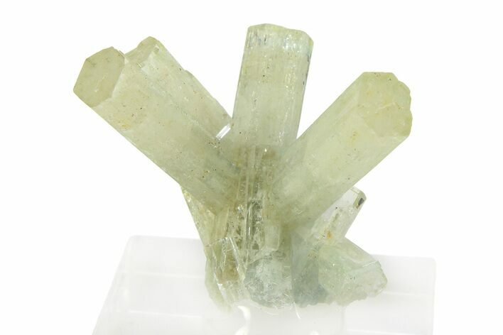 Pristine Goshenite Crystal Cluster - Erongo Mountains, Namibia #351514